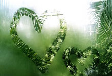 亚洲篮球锦标赛战绩亮眼瞩目