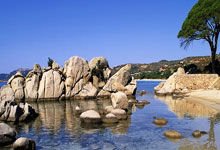 亚洲篮球锦标赛战绩亮眼瞩目