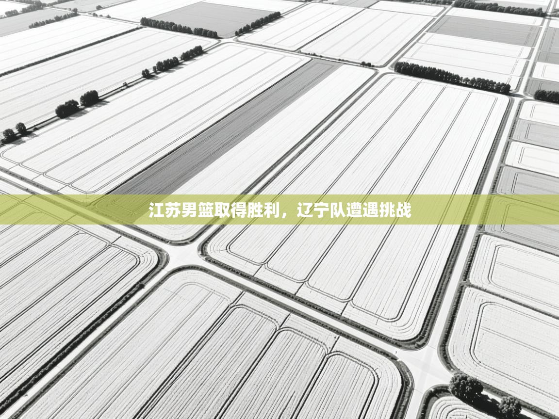 江苏男篮取得胜利，辽宁队遭遇挑战