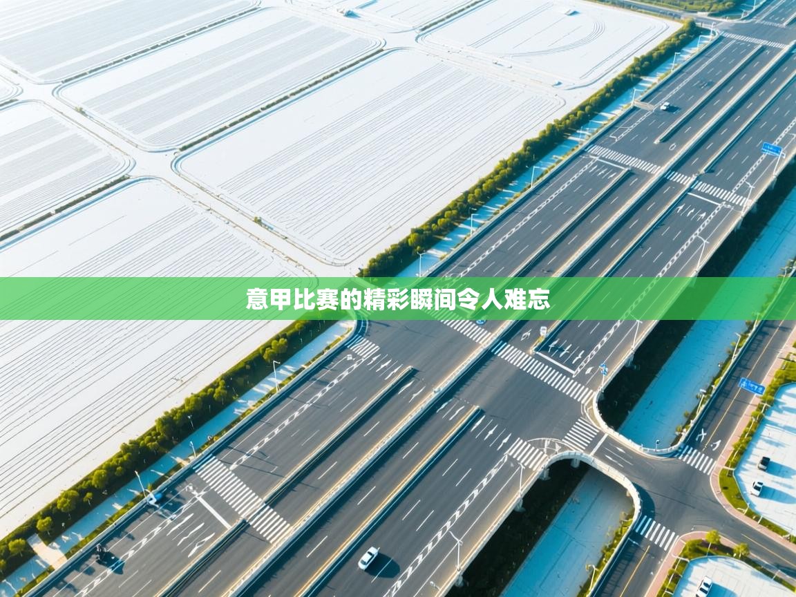 意甲比赛的精彩瞬间令人难忘 第2张