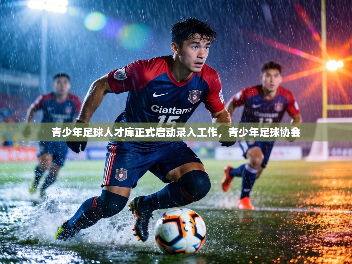 青少年足球人才库正式启动录入工作,青少年足球协会 第1张