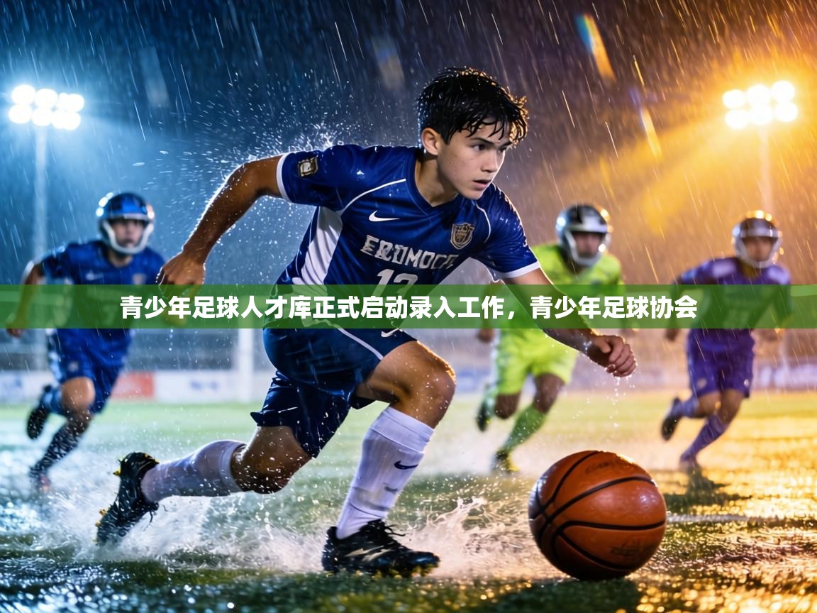 青少年足球人才库正式启动录入工作,青少年足球协会 第2张